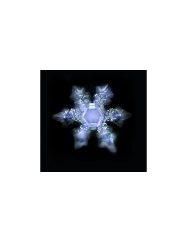 Verre à onde de forme et fleur de vie- sans plomb – Image 4