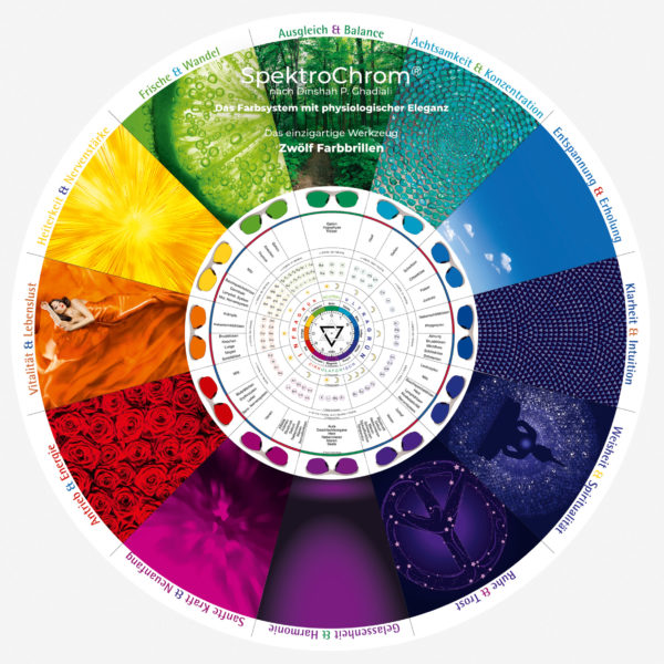 Ensemble de lunettes de couleur SpektroChrom avec 12 paires de lunettes de couleur dans une boîte de présentation exclusive - DT12K – Image 2